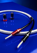 Chord ShawlineX Speaker Cable