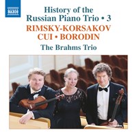 Record Review: History of the Russian Piano Trio 3 - The Brahms Trio