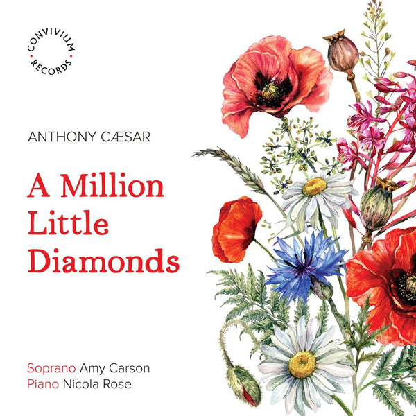 Record Review: A Million Little Diamonds - Anthony Cæsar