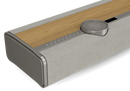 Dali Vega Wireless Music System