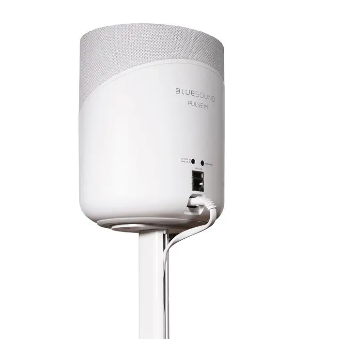 Bluesound PULSE M & FLEX Adjustable Stand