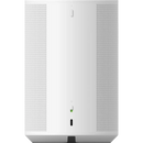 Sonos Era 100 Wireless Speaker