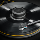 MoFi SuperHeavyWeight Record Weight