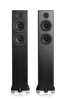 Totem Bison Twin Tower Floorstanding Loudspeakers