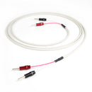 Chord ChorAlloy RumourX Install Speaker Cable